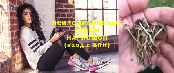 spice Абдулино